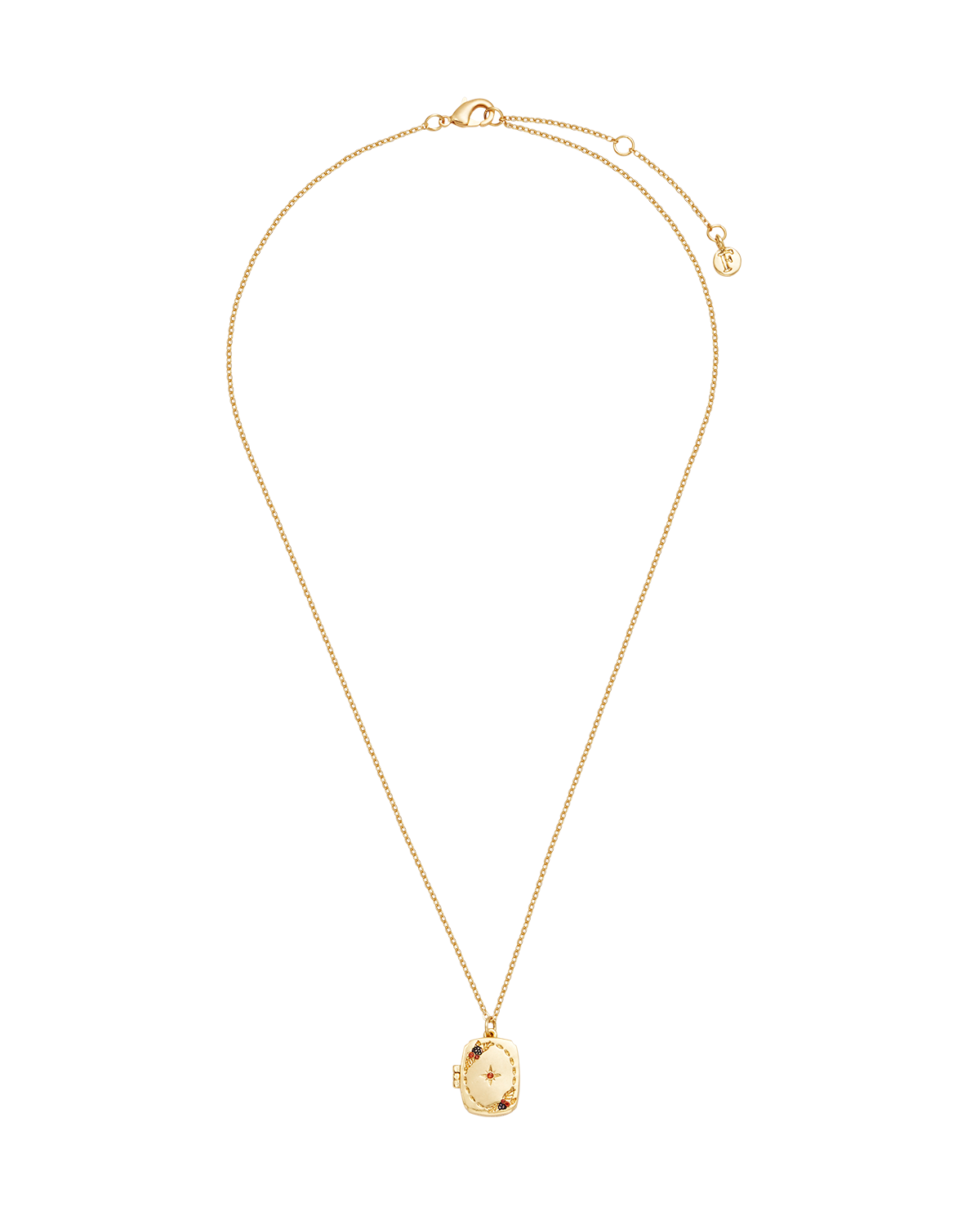 fable-england-orla-hedgerow-medaillon-kette-gold image 4