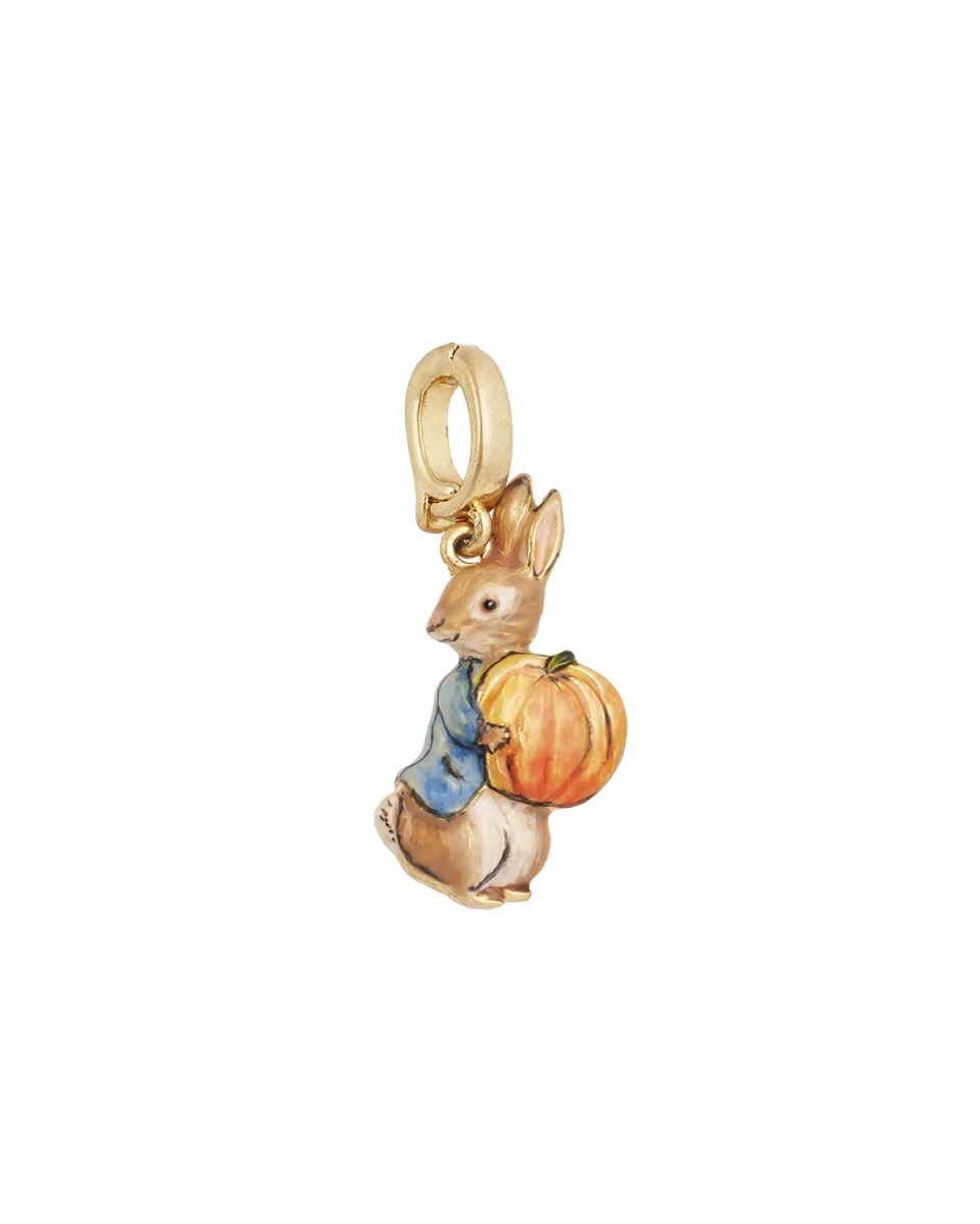 fable-england-jewellery-peter-rabbit-pumpkin-charm-emaille image 1