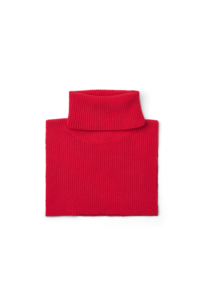 basic-apparel-liz-halsw-rmer-tomato-merino image 1