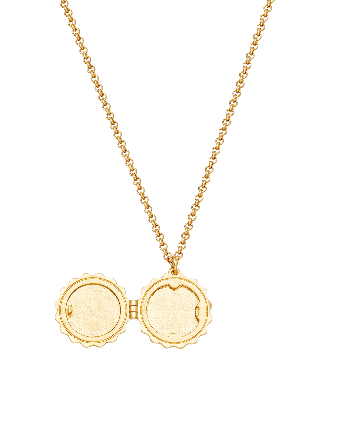 fable-england-ivy-blossom-kette-gold-medaillon-efeu image 4