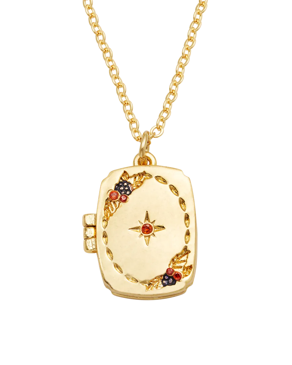 fable-england-orla-hedgerow-medaillon-kette-gold image 1