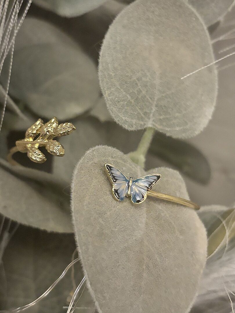 Schöner Schmetterling