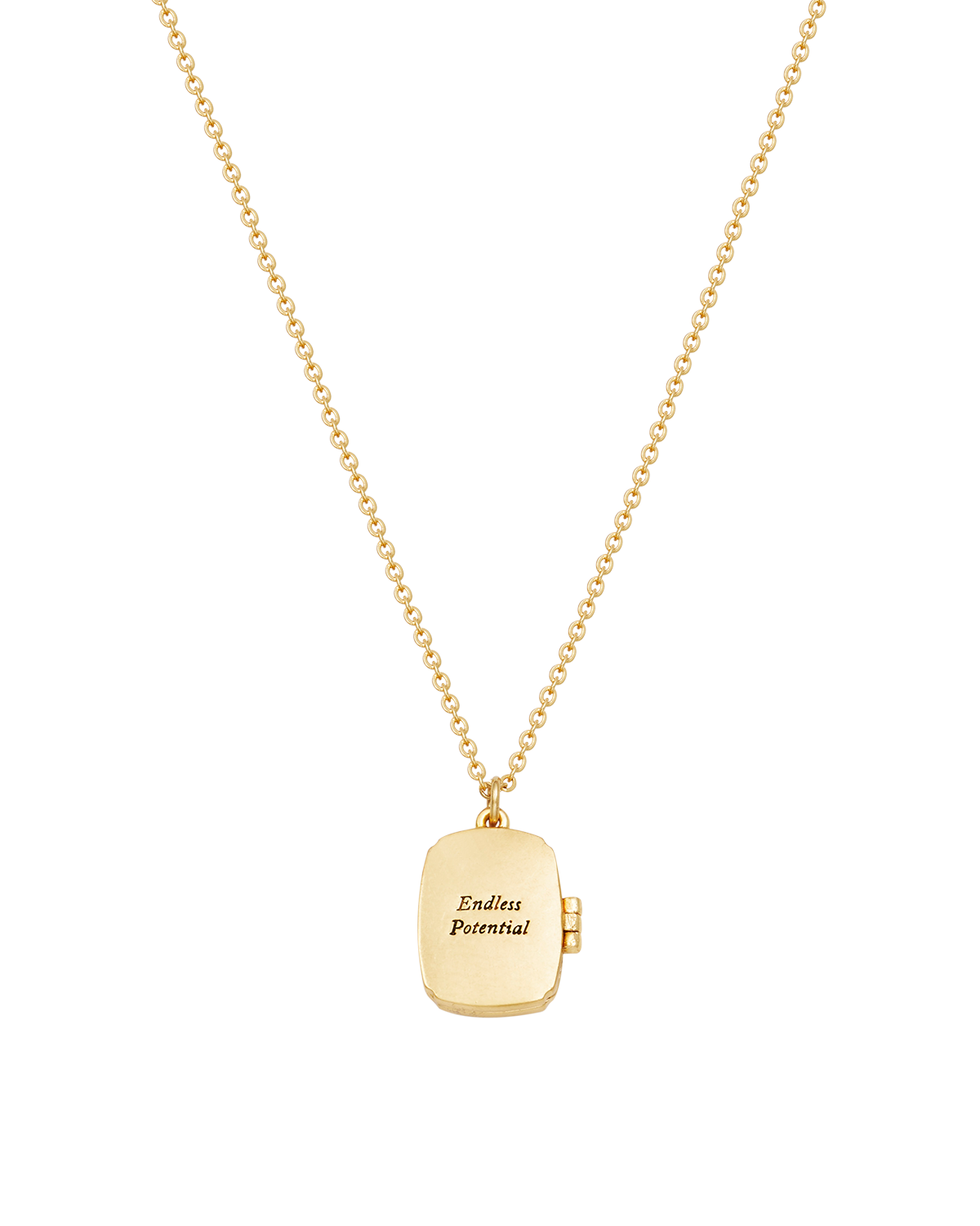 fable-england-orla-hedgerow-medaillon-kette-gold image 3