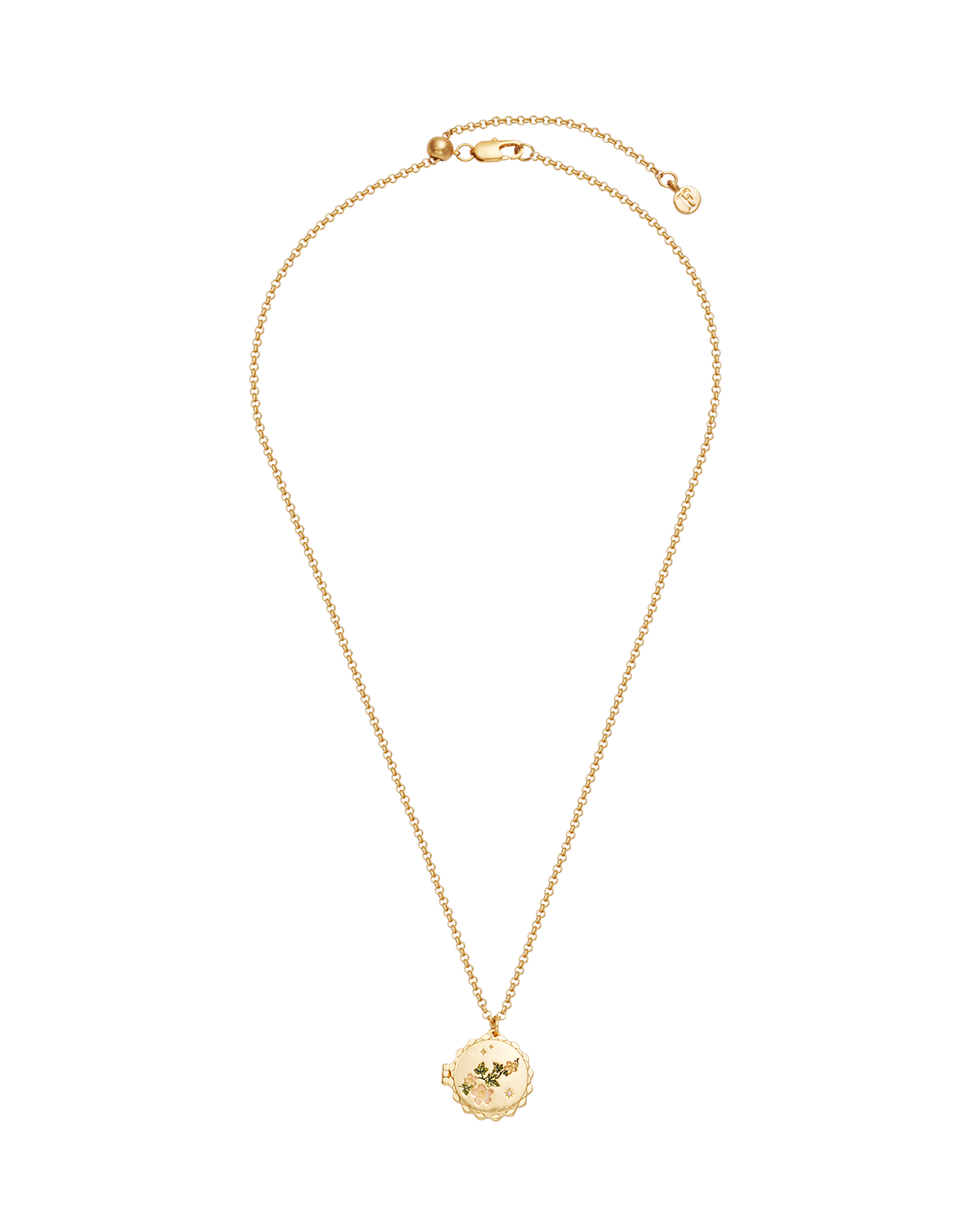fable-england-ivy-blossom-kette-gold-medaillon-efeu image 5