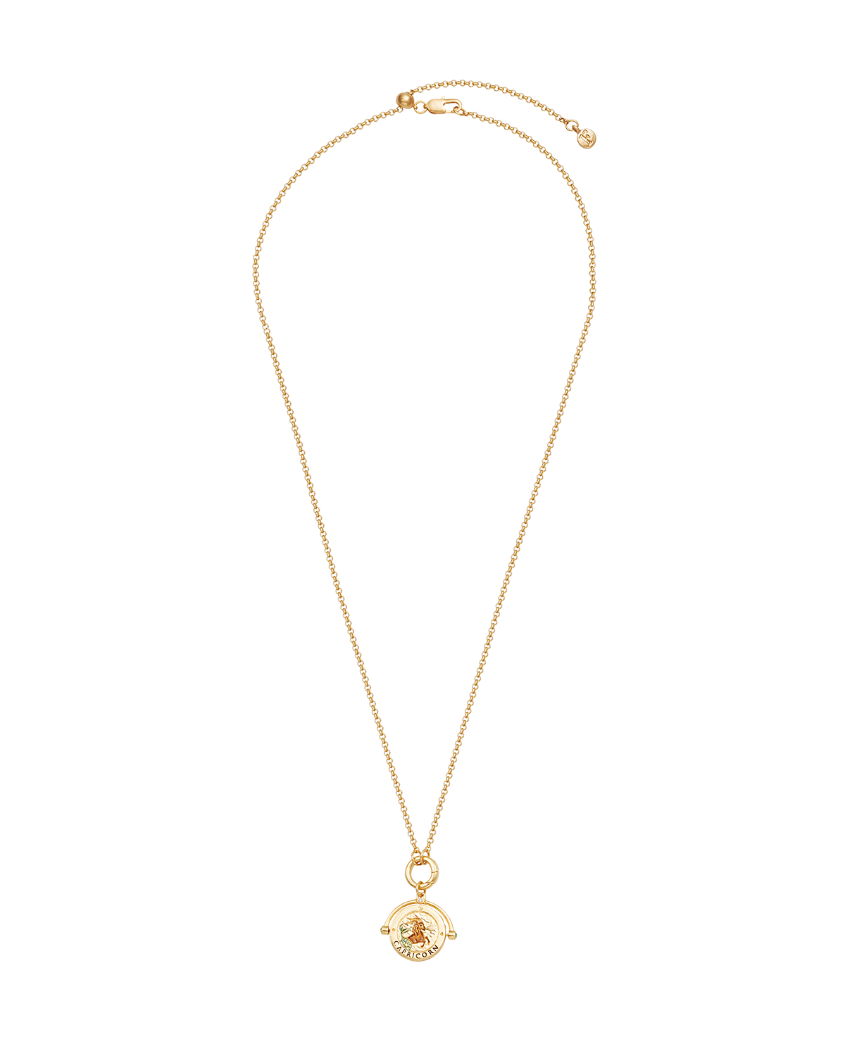 fable-england-capricorn-spinner-kette-gold-steinbock image 6