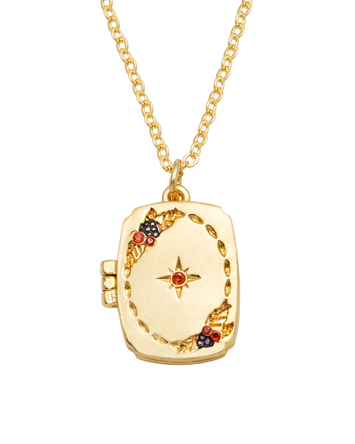 fable-england-orla-hedgerow-medaillon-kette-gold image 1