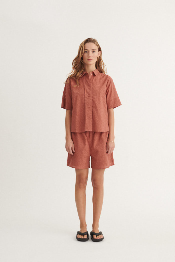 basic-apparel-lotus-shorts-cedar-wood-bio-baumwolle image 4