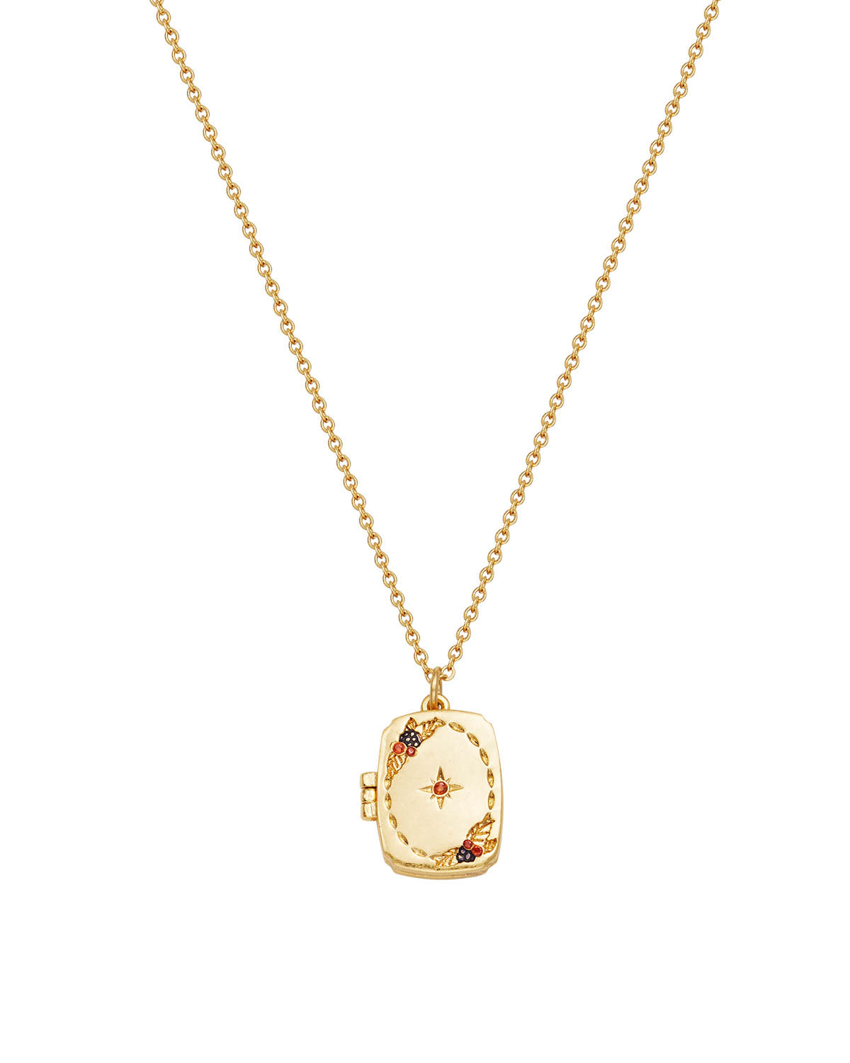 fable-england-orla-hedgerow-medaillon-kette-gold image 6