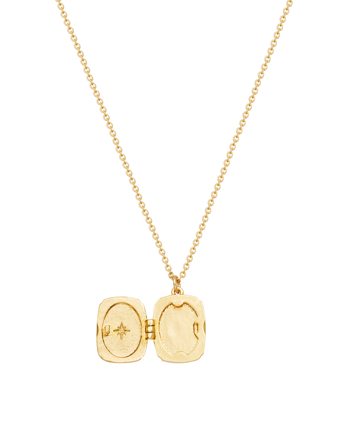 fable-england-orla-hedgerow-medaillon-kette-gold image 5