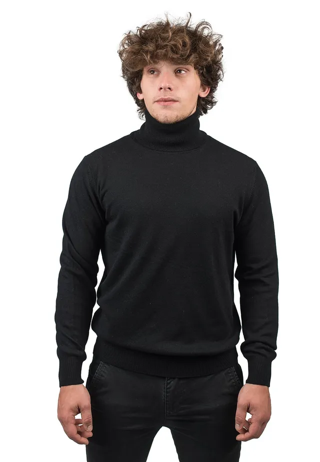 dalle-piane-cashmere-sweater-rollkragenpullover-herren-merino image 1